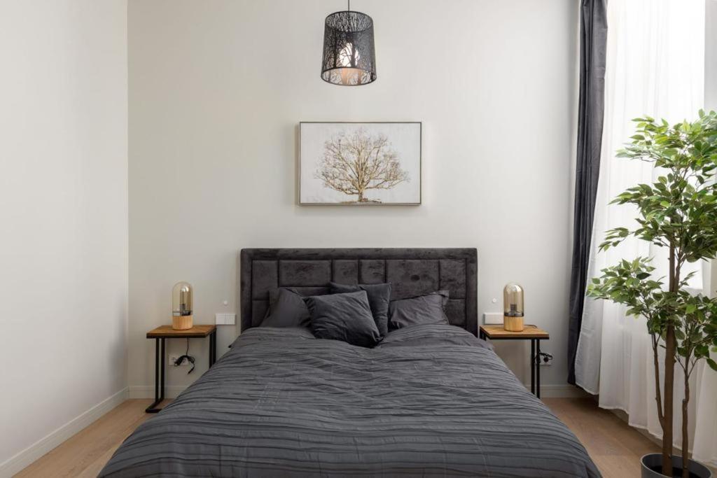 Kalnina Street Studio Apartment Riga Exterior photo